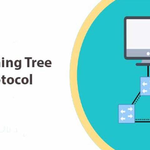 Spanning Tree là gì? Lợi ích của giao thức Spanning Tree?